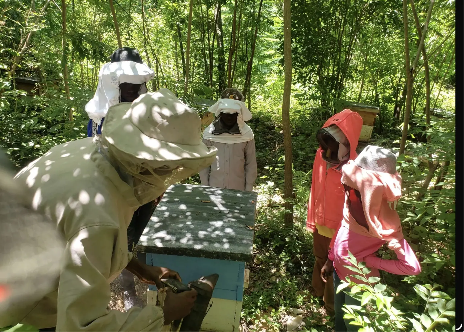 Participants à une excursion écologique découvrant des ruches et le travail apicole