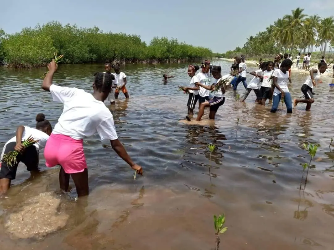 Groupe communautaire participant à une plantation de mangroves dans l’eau peu profonde à La Gonâve