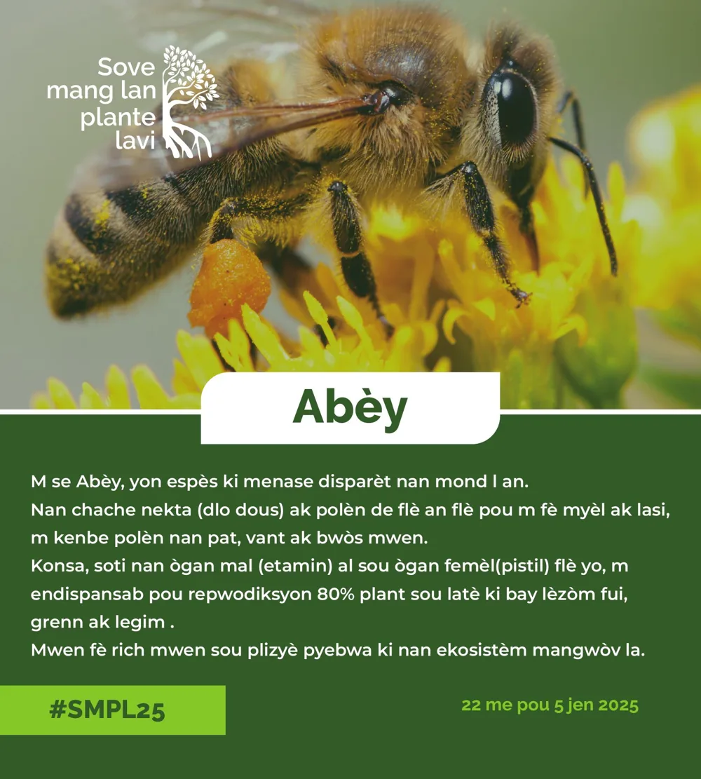 Planche sur les abeilles