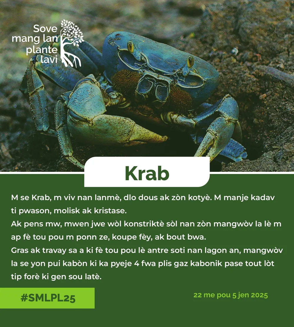 Planche sur les crabes