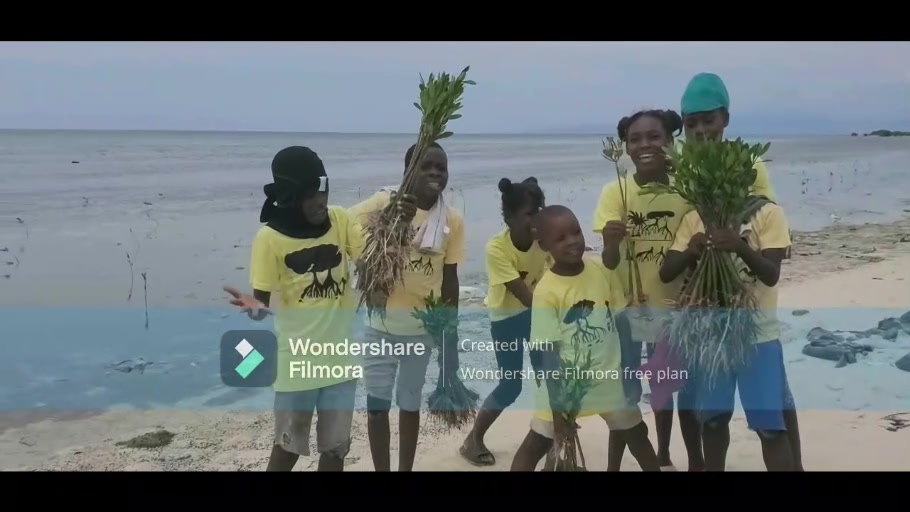 Jeunes présentant des plantules de mangrove