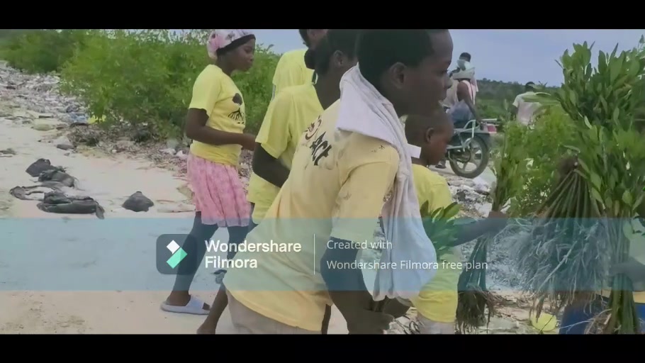 Mobilisation autour des plantules