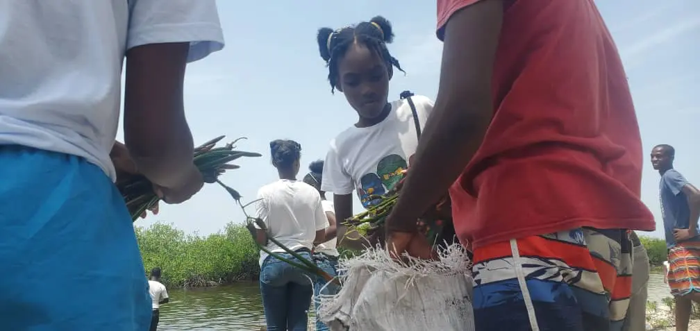 Membres observant ensemble des éléments de mangrove pendant une activité de terrain